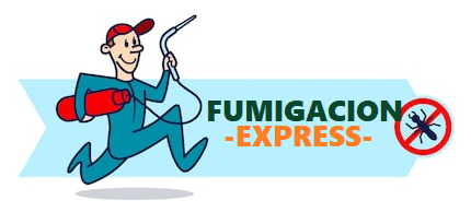 Fumigacion Express Pantitlan